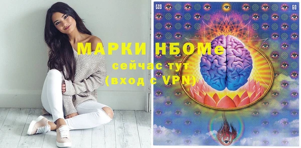 хмурый Абаза