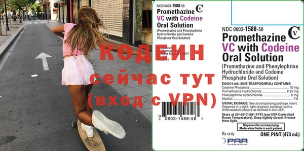 хмурый Абаза