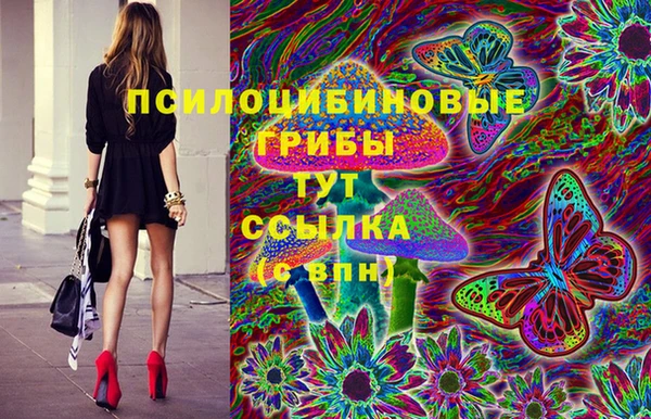 хмурый Абаза