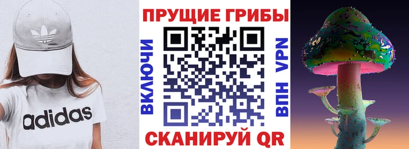 Псилоцибиновые грибы прущие грибы  наркотики  Узловая 